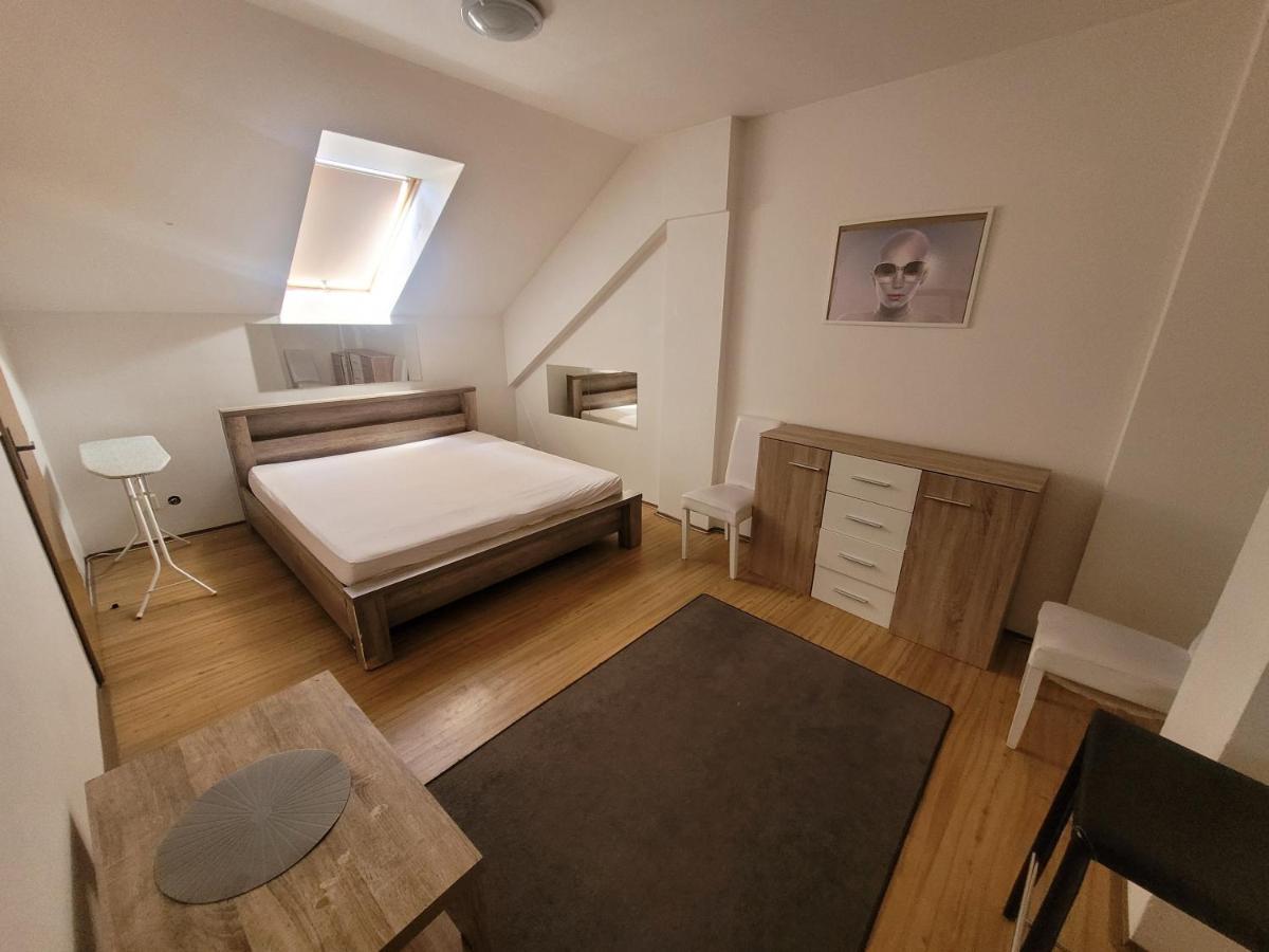 Apartments Zizkov B 布拉格 外观 照片